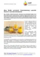 PM_VitaminC-und-Harnsäure.pdf