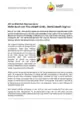 PM_Branchendaten_2025.pdf